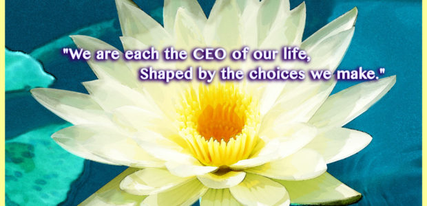 You are the CEO of your Life